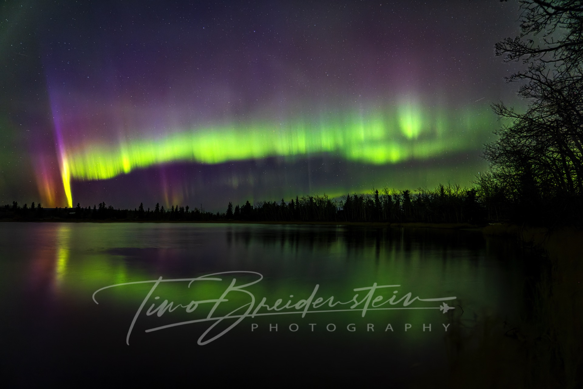 2N8A5848 CR3 DxO DeepPRIME 2