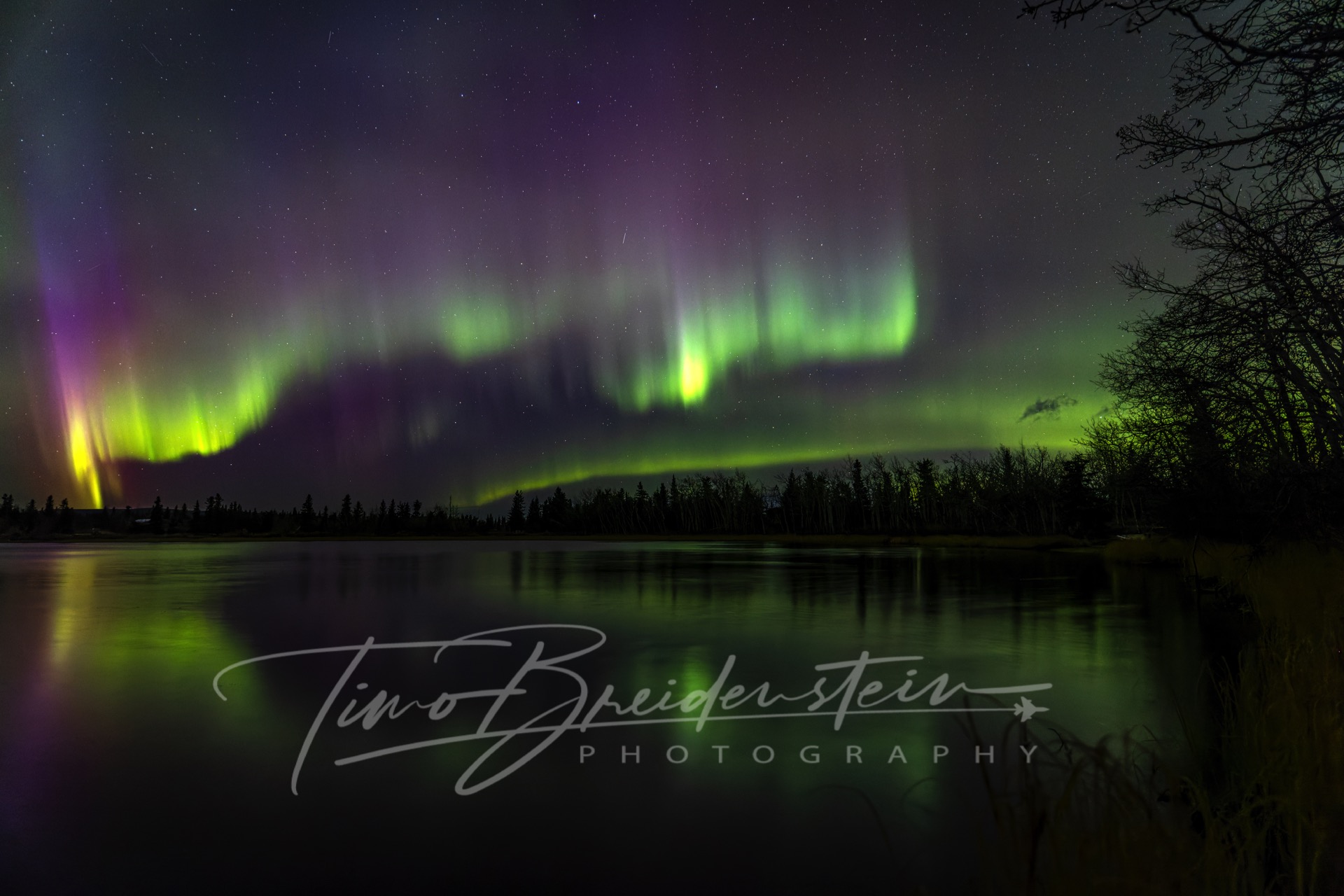 2N8A5868 CR3 DxO DeepPRIME