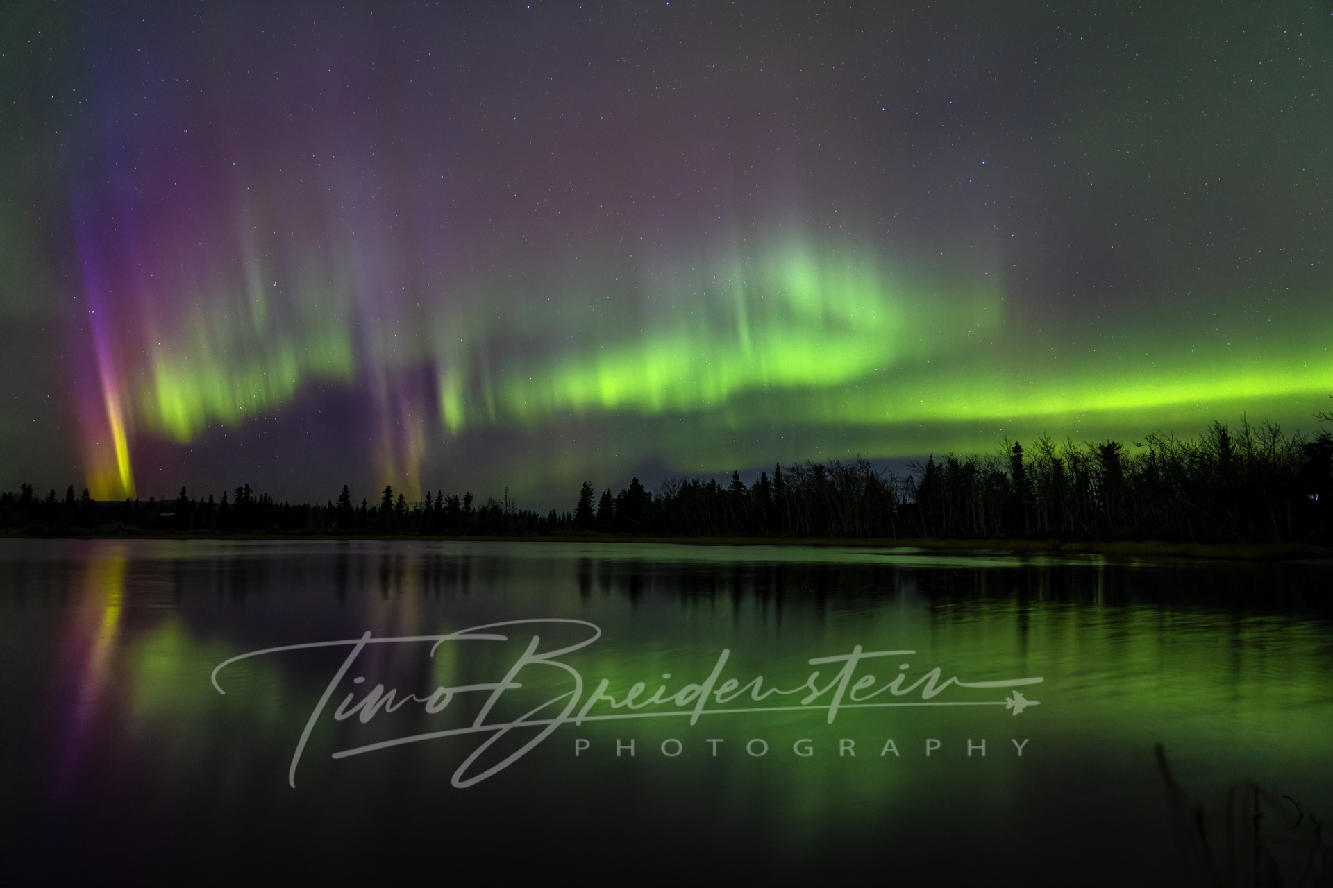 2N8A5905 CR3 DxO DeepPRIME