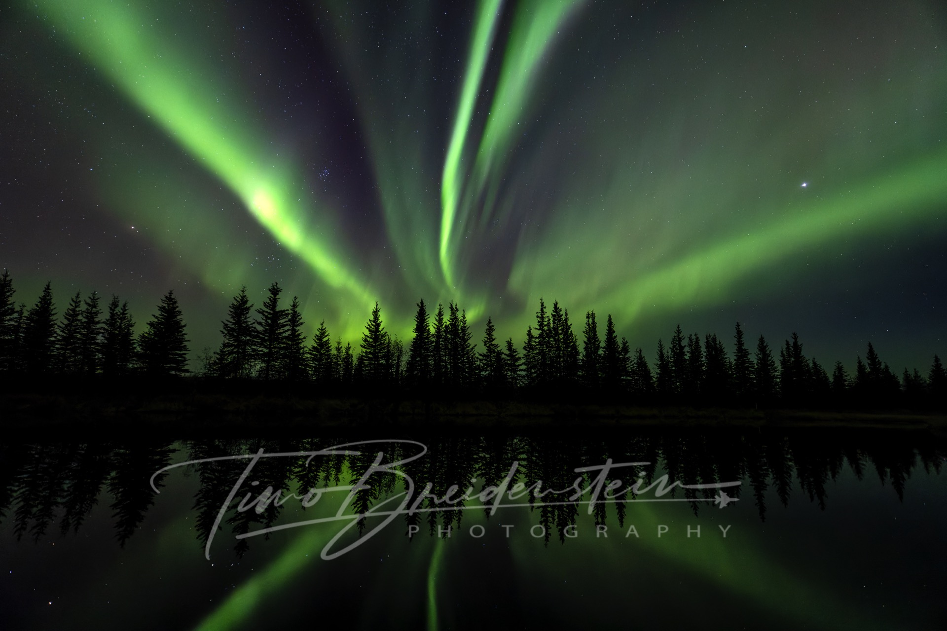 2N8A6063 CR3 DxO DeepPRIME 2