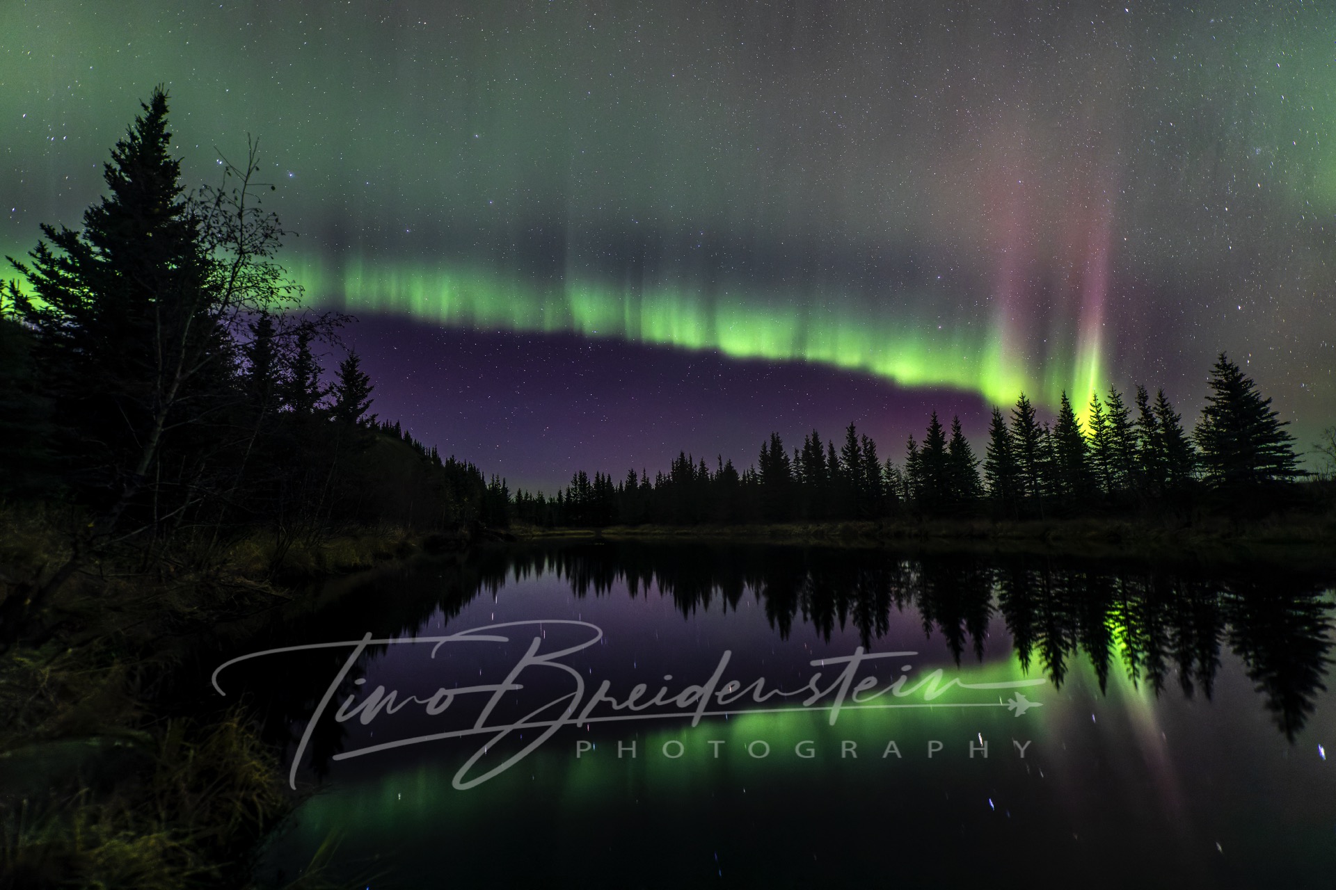 I11A0833 CR2 DxO DeepPRIME