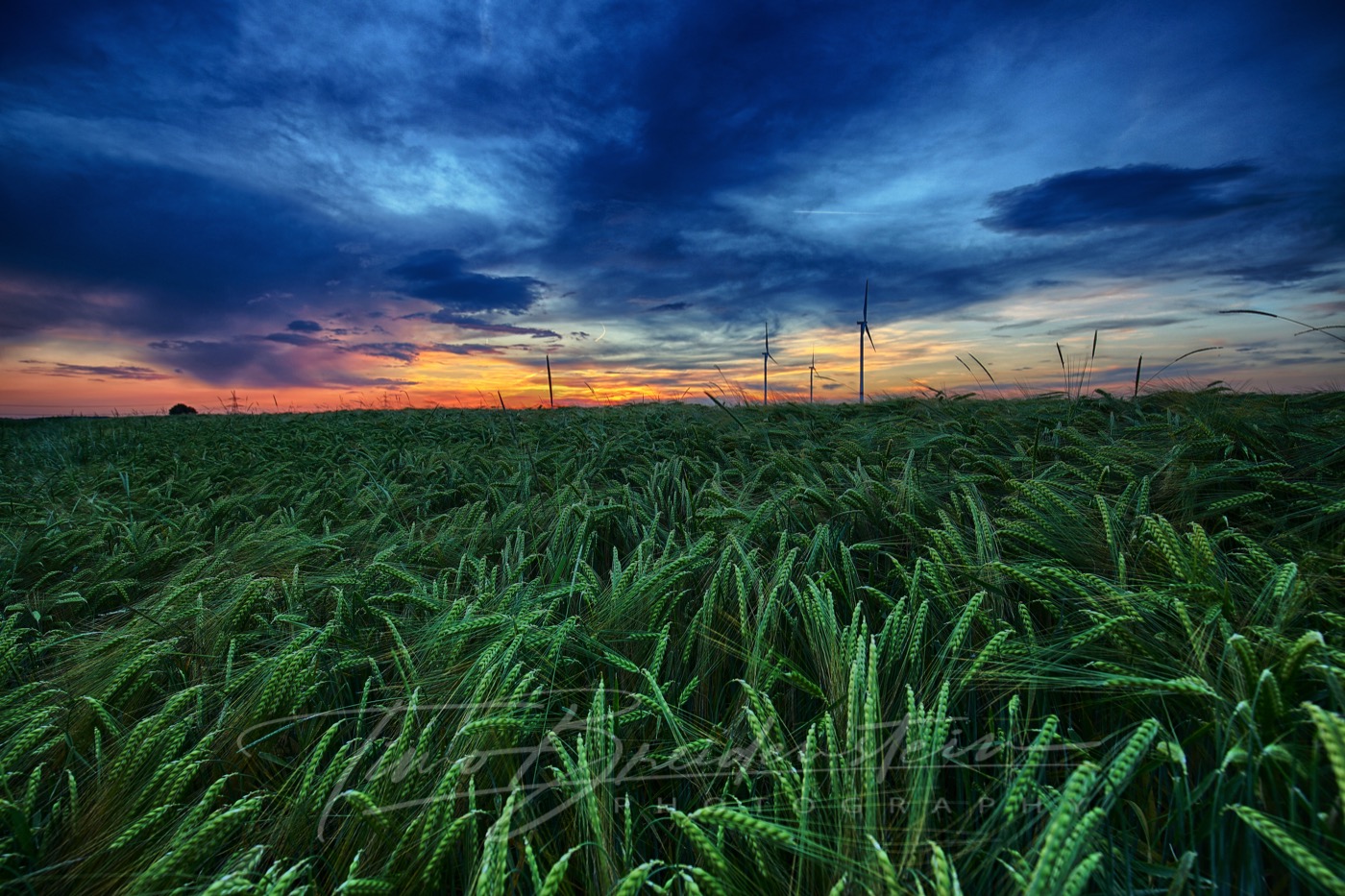 IT7A5258 HDR